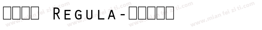 酒慰风尘 Regula字体转换